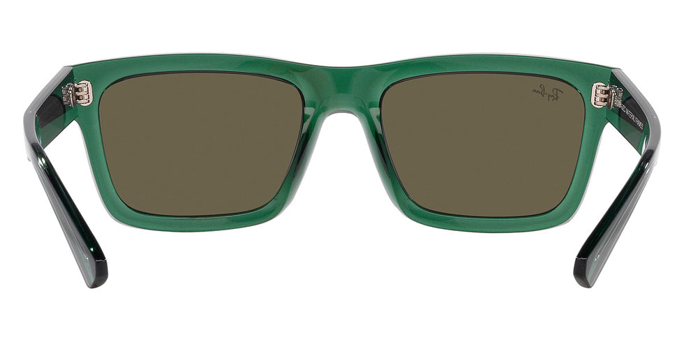 Ray-Ban® Warren RB4396 Sunglasses
