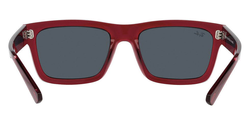 Ray-Ban® Warren RB4396F Sunglasses