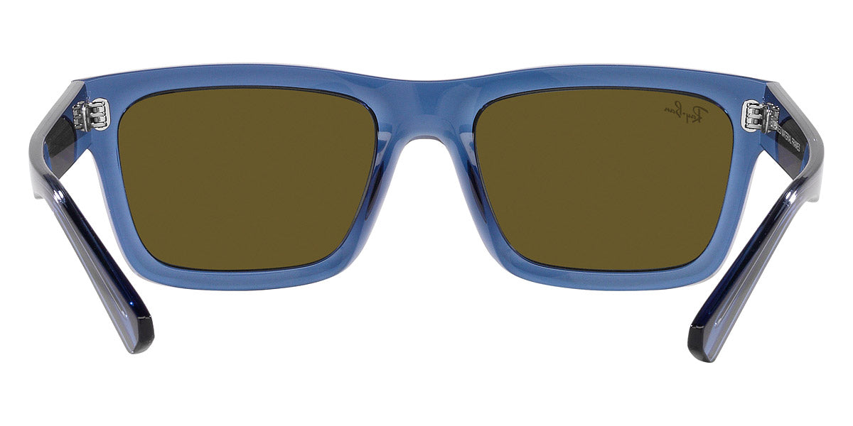Ray-Ban® Warren RB4396F Sunglasses