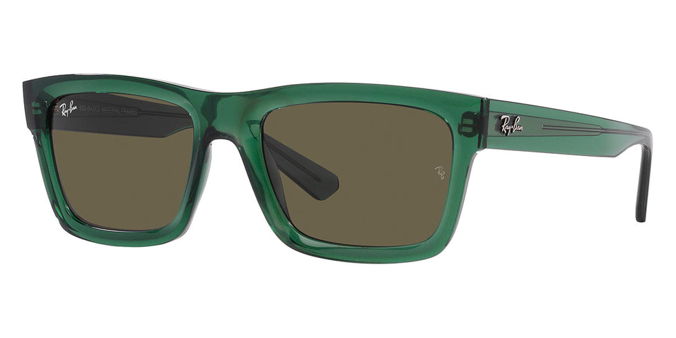 Ray-Ban® Warren RB4396F Sunglasses