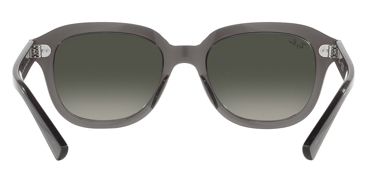 Ray-Ban® Erik RB4398 Sunglasses