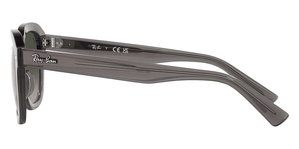 Ray-Ban® Erik RB4398F Sunglasses