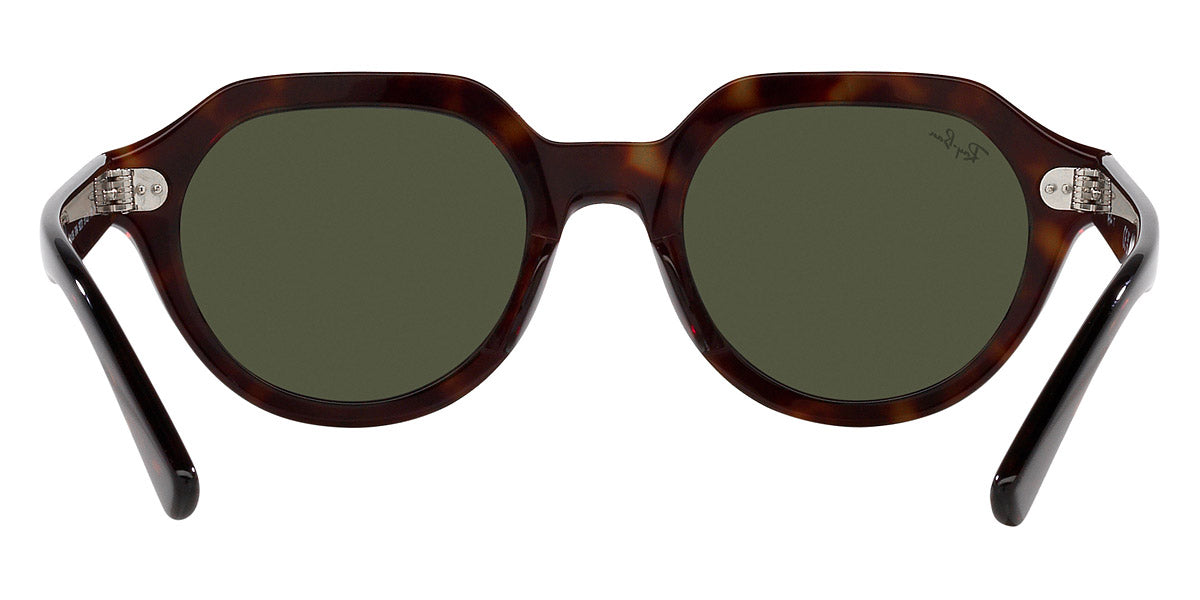 Ray-Ban® Gina RB4399 Sunglasses