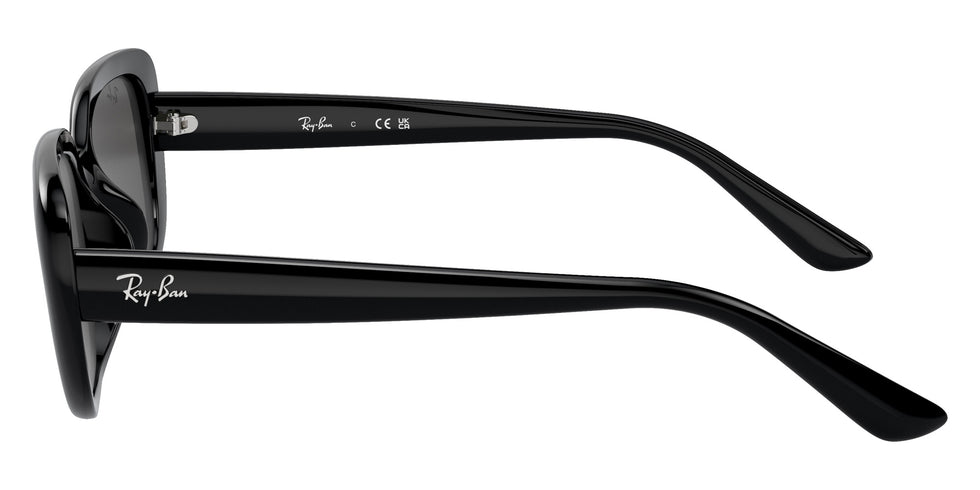 Ray-Ban® RB4421D RB4421D 667787 56 Sunglasses - Black