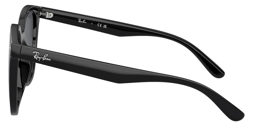 Ray-Ban® RB4423D RB4423D 601/87 66 Sunglasses - Black