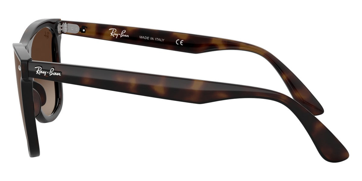 Ray-Ban® Blaze Wayfarer RB4440N Sunglasses