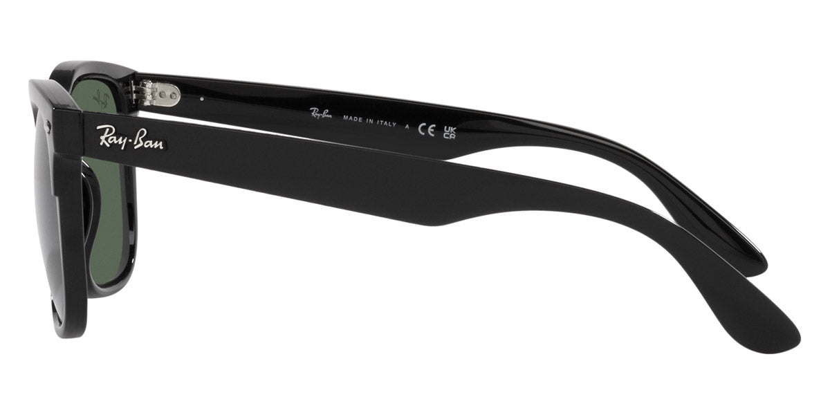 Ray-Ban® Iris RB4471 Sunglasses