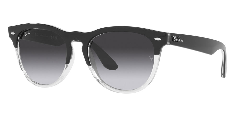 Ray-Ban® Iris RB4471 Sunglasses