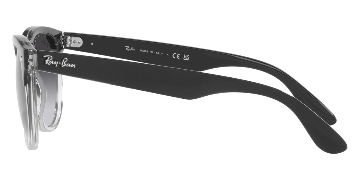 Ray-Ban® Iris RB4471 Sunglasses