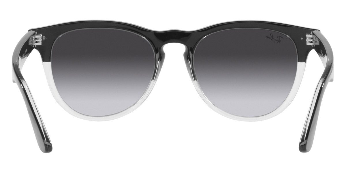 Ray-Ban® Iris RB4471 Sunglasses