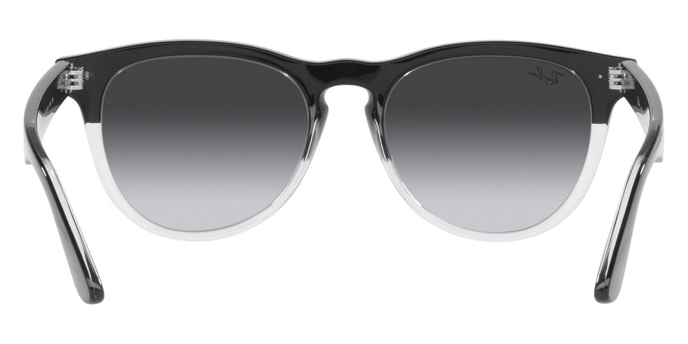 Ray-Ban® Iris RB4471 Sunglasses