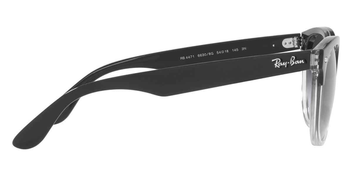 Ray-Ban® Iris RB4471 Sunglasses