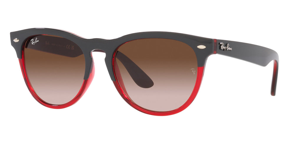 Ray-Ban® Iris RB4471 Sunglasses