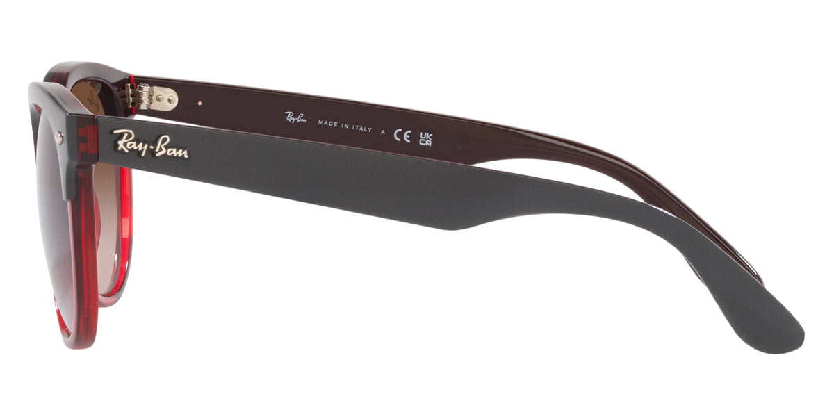 Ray-Ban® Iris RB4471 Sunglasses