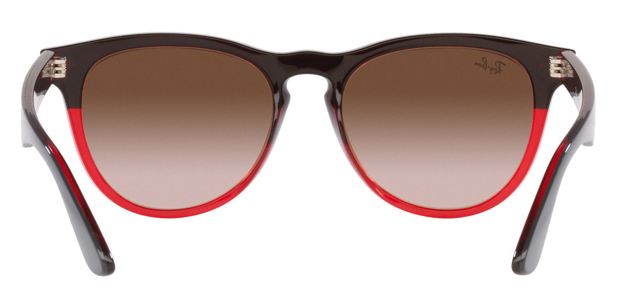 Ray-Ban® Iris RB4471 Sunglasses