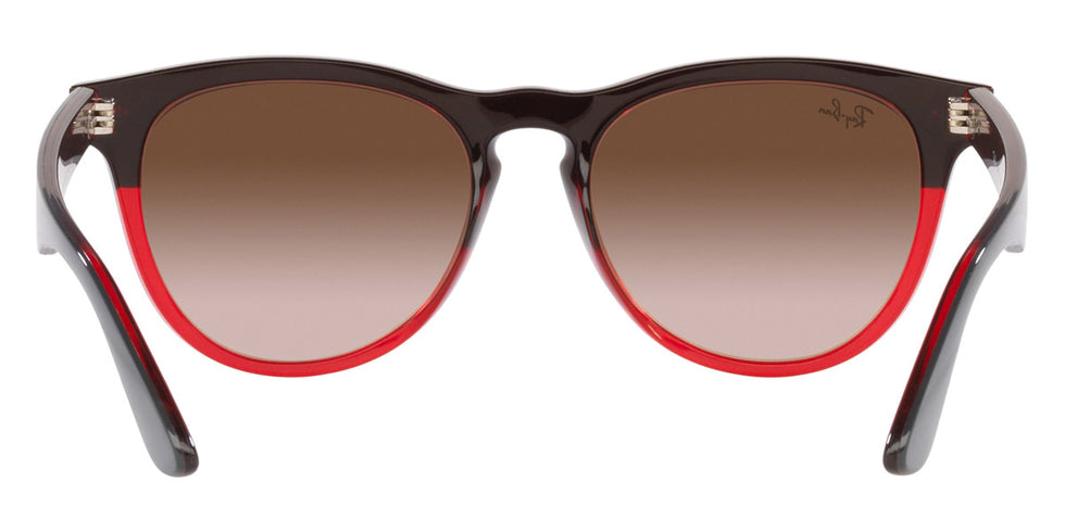 Ray-Ban® Iris RB4471 Sunglasses