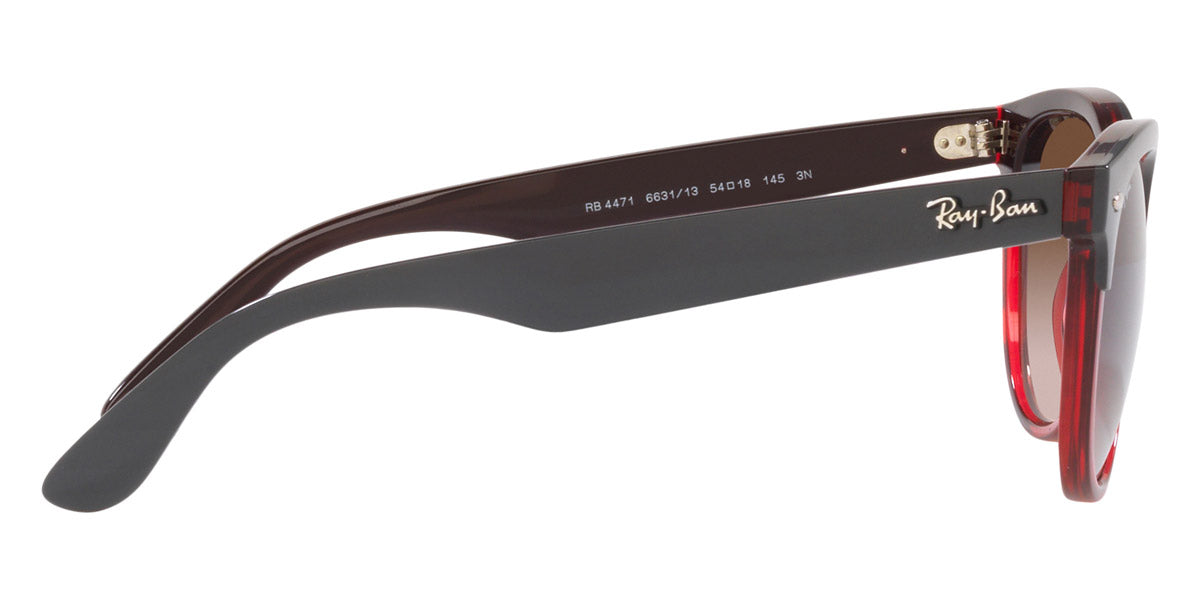 Ray-Ban® Iris RB4471 Sunglasses