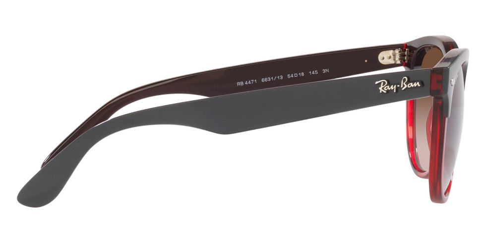 Ray-Ban® Iris RB4471 Sunglasses