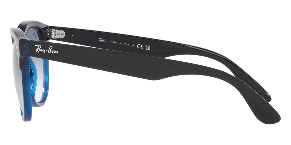 Ray-Ban® Iris RB4471 Sunglasses