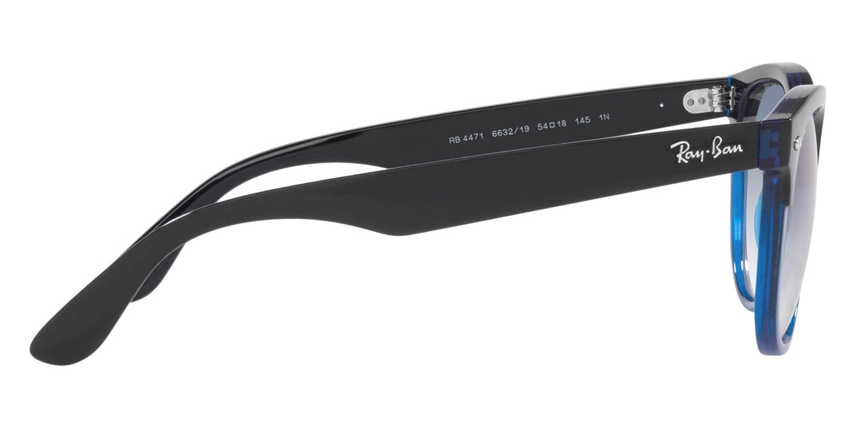 Ray-Ban® Iris RB4471 Sunglasses