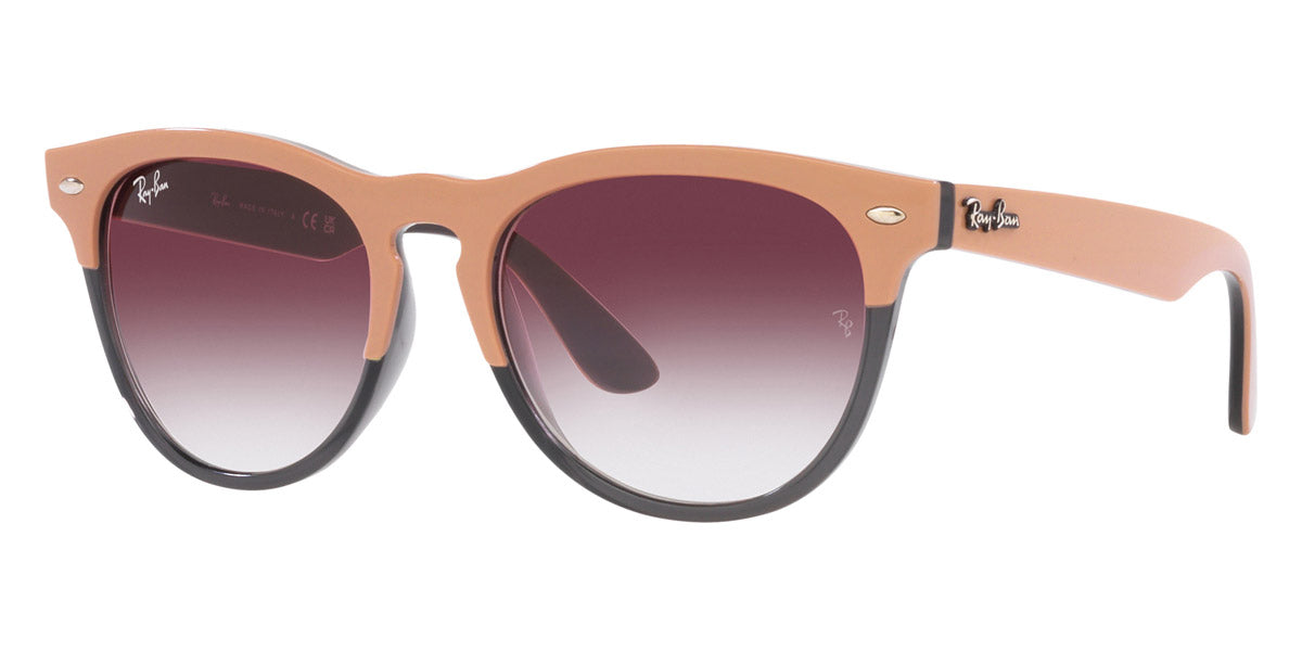 Ray-Ban® Iris RB4471 Sunglasses