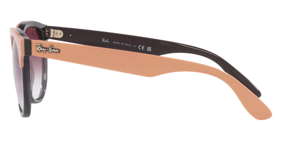 Ray-Ban® Iris RB4471 Sunglasses