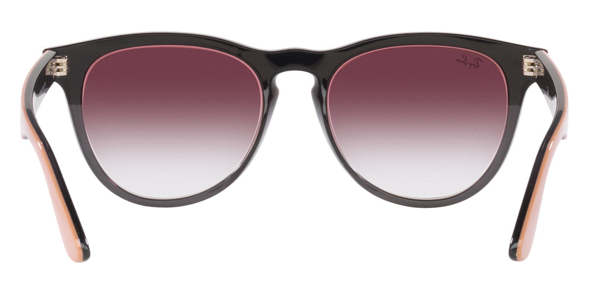 Ray-Ban® Iris RB4471 Sunglasses