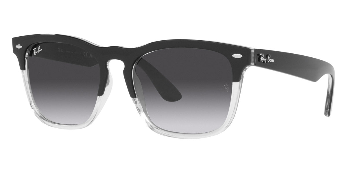 Ray-Ban® Steve RB4487 Sunglasses