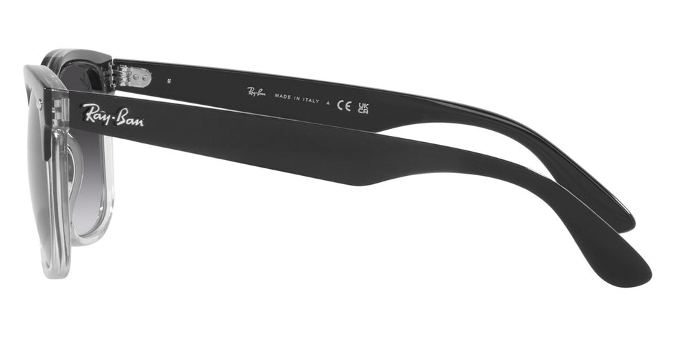 Ray-Ban® Steve RB4487 Sunglasses