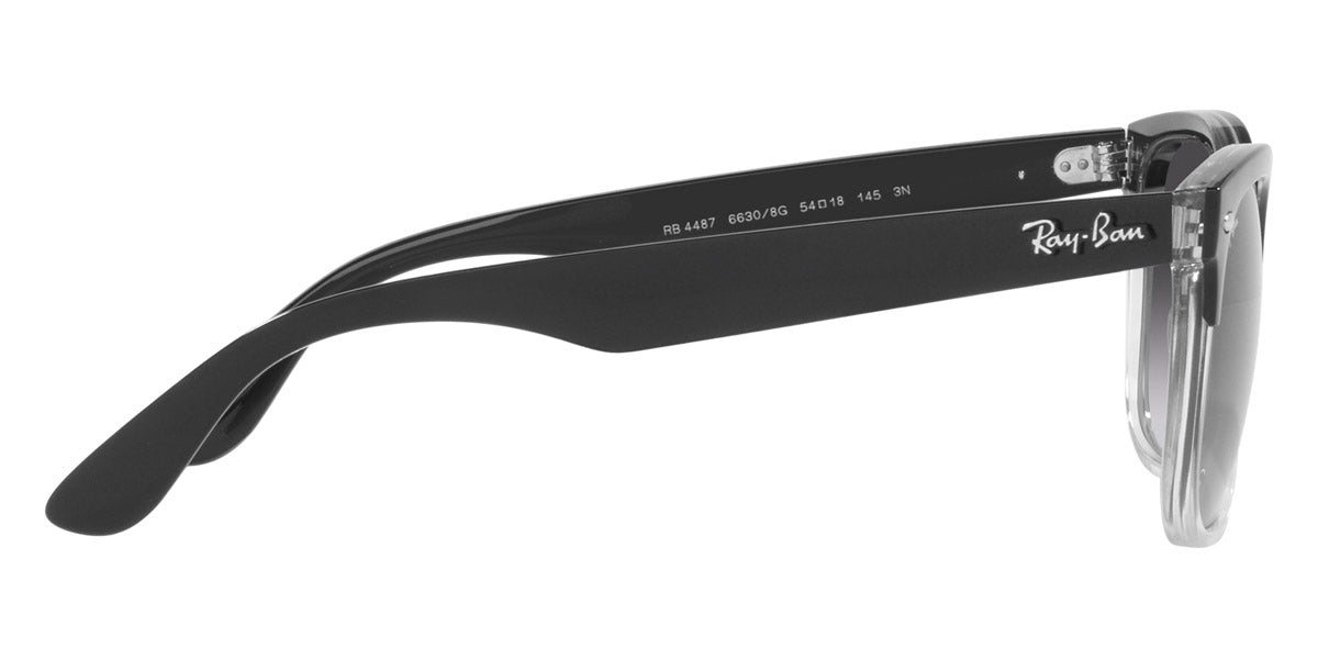 Ray-Ban® Steve RB4487 Sunglasses