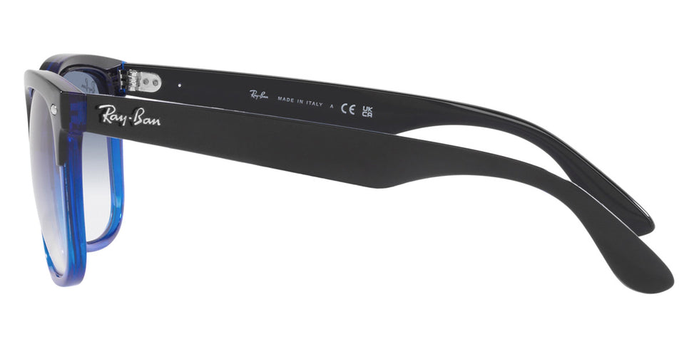 Ray-Ban® Steve RB4487 Sunglasses
