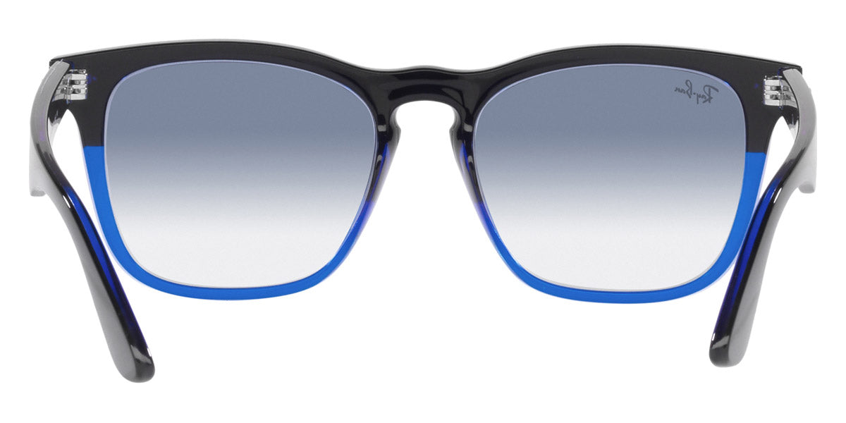 Ray-Ban® Steve RB4487 Sunglasses