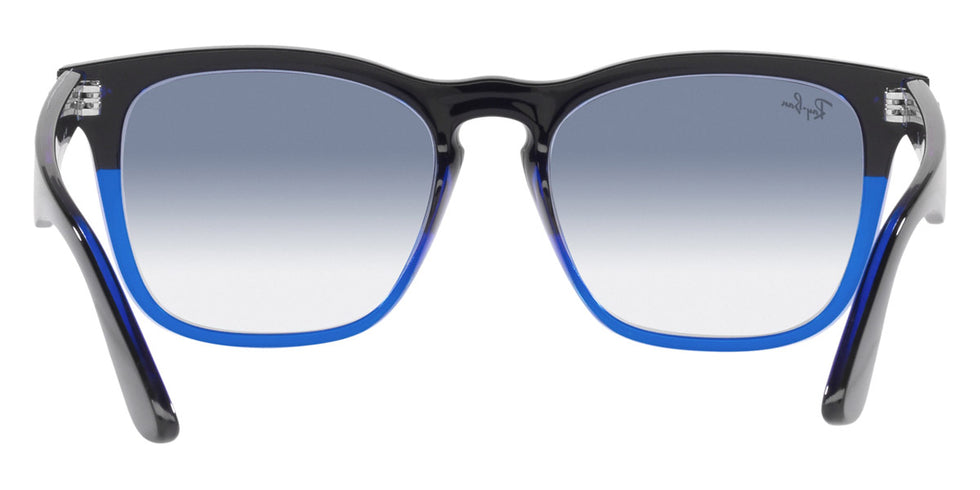 Ray-Ban® Steve RB4487 Sunglasses