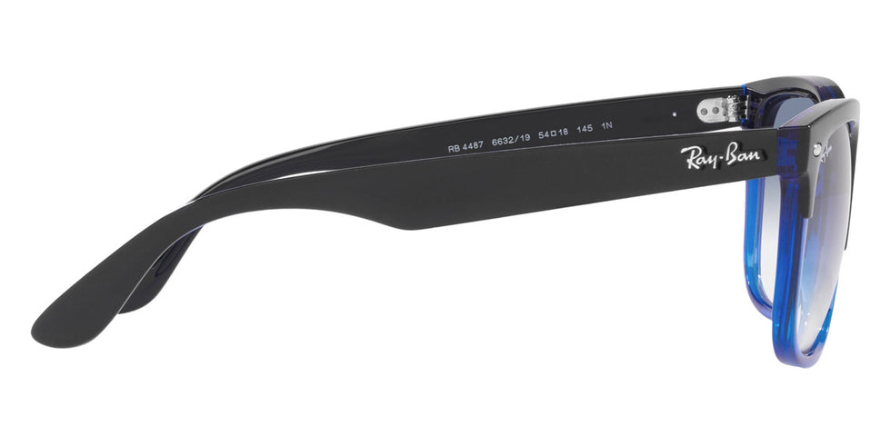 Ray-Ban® Steve RB4487 Sunglasses