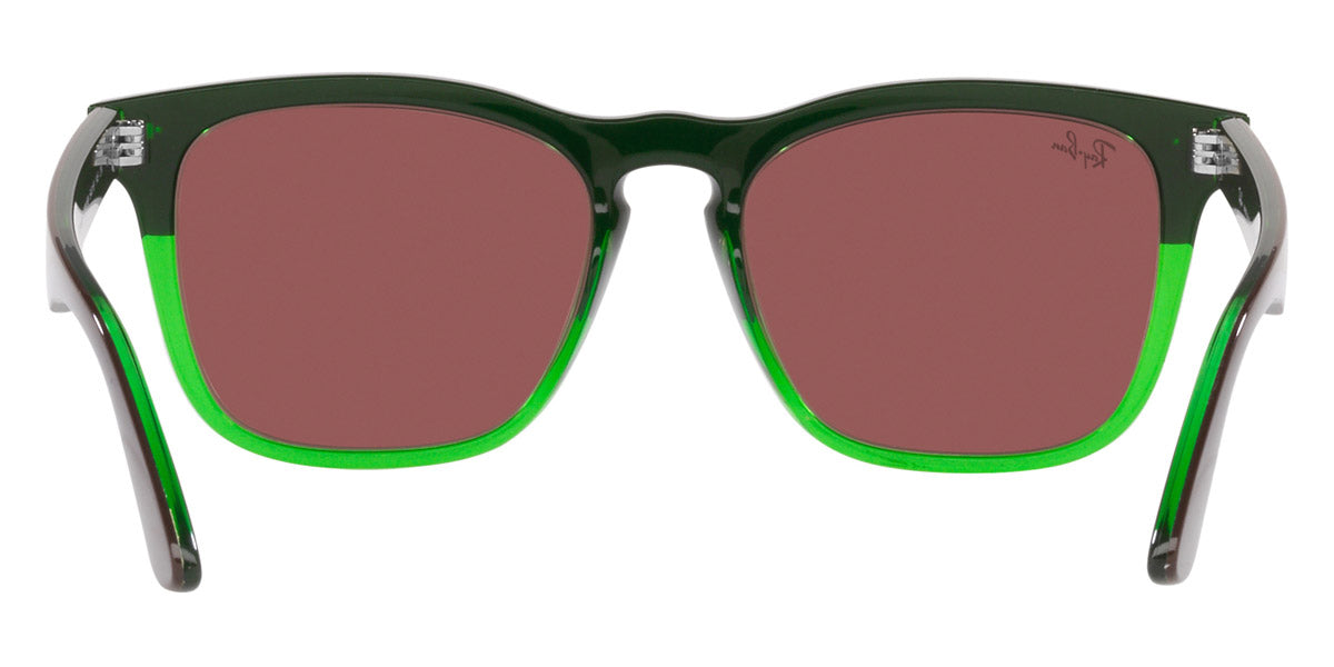 Ray-Ban® Steve RB4487 Sunglasses