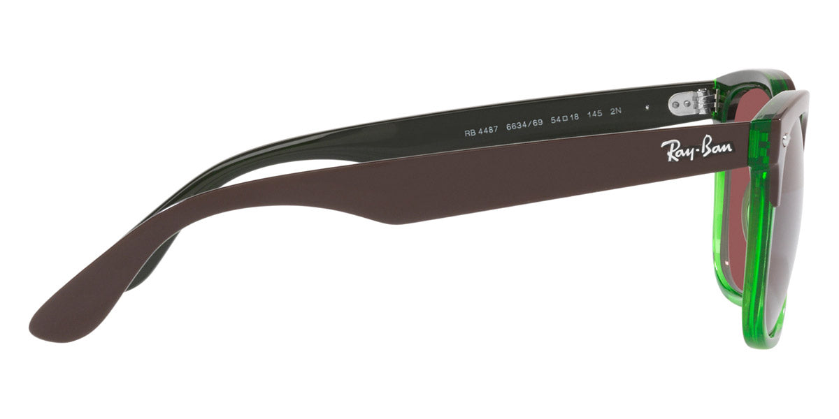 Ray-Ban® Steve RB4487 Sunglasses