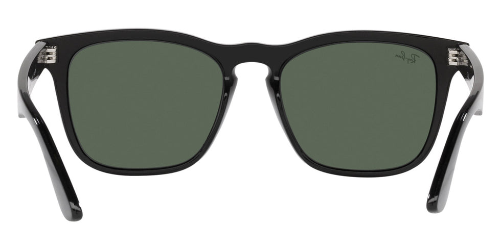 Ray-Ban® Steve RB4487F Sunglasses