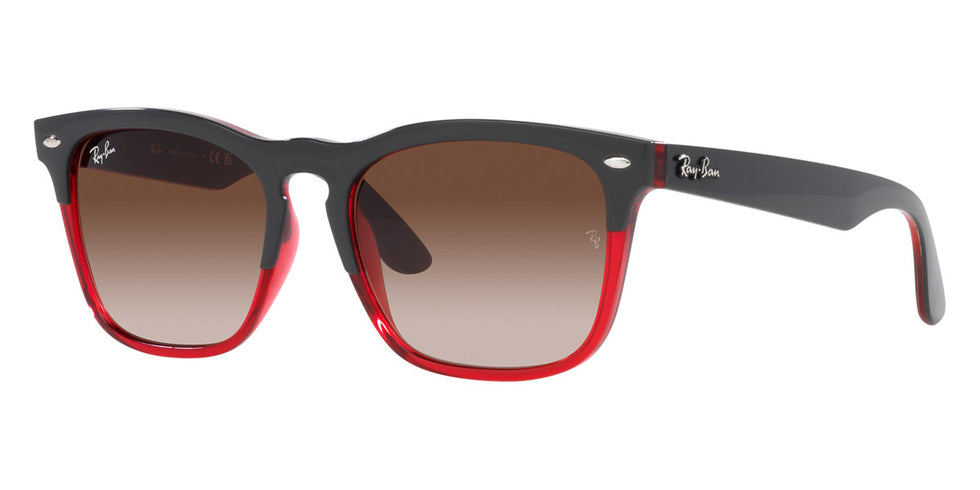 Ray-Ban® Steve RB4487F Sunglasses