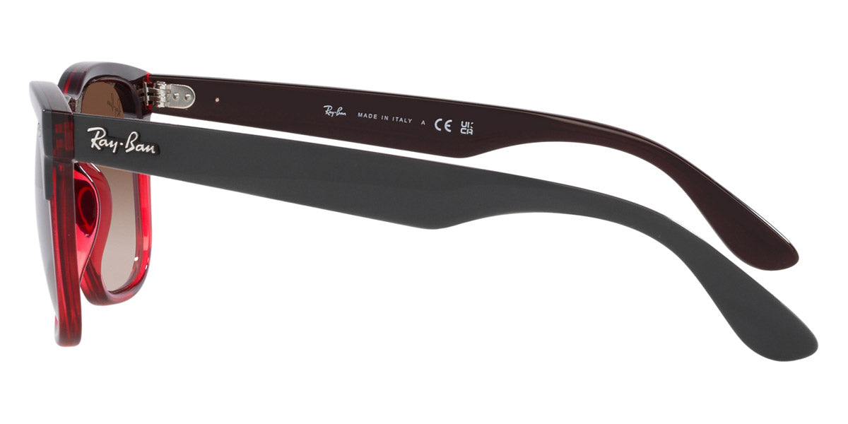 Ray-Ban® Steve RB4487F Sunglasses