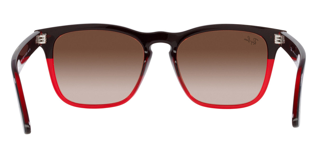Ray-Ban® Steve RB4487F Sunglasses