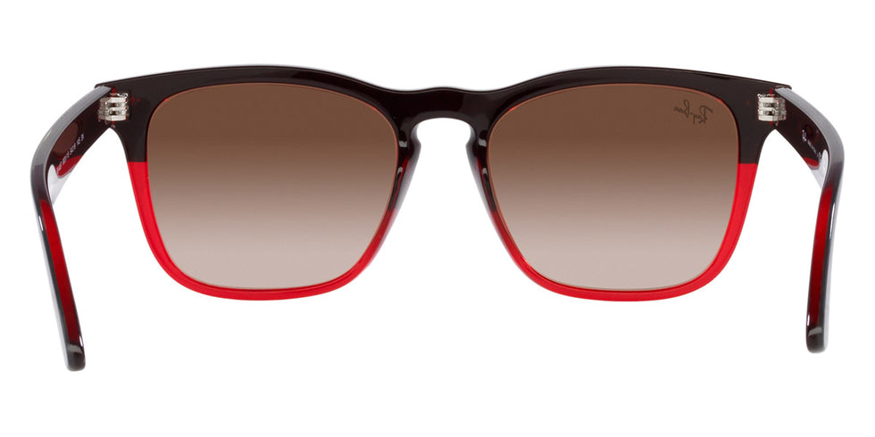 Ray-Ban® Steve RB4487F Sunglasses