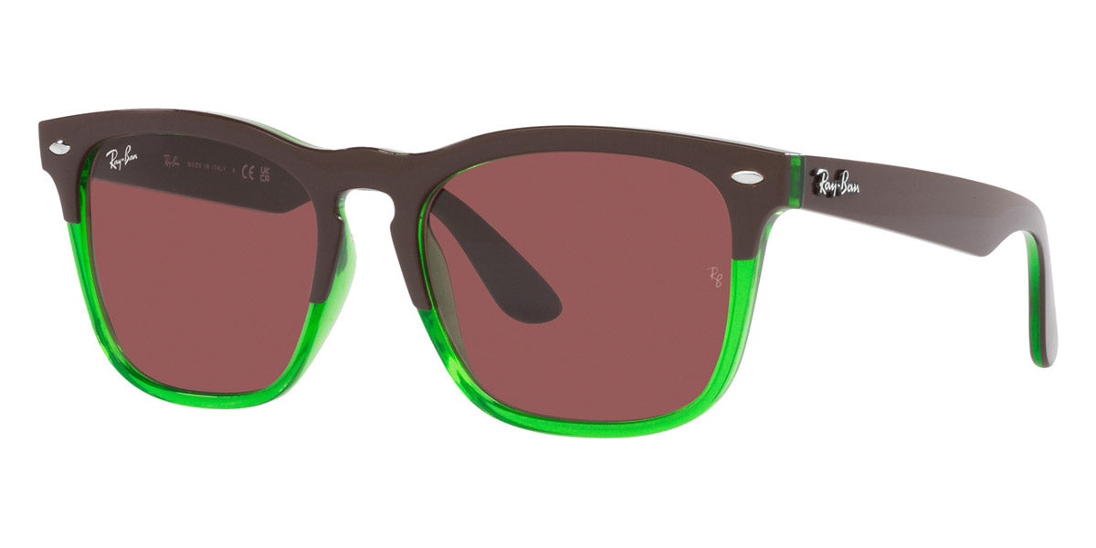 Ray-Ban® Steve RB4487F Sunglasses