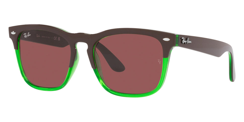 Ray-Ban® Steve RB4487F Sunglasses