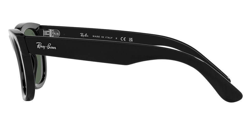 Ray-Ban® Wayfarer Reverse RBr0502S Sunglasses