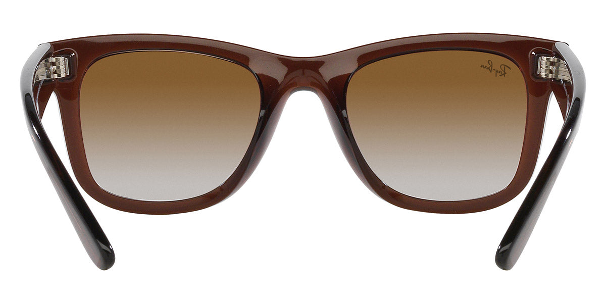 Ray-Ban® Wayfarer Reverse RBr0502S Sunglasses