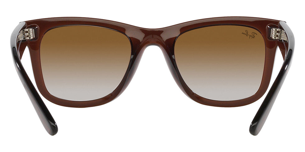 Ray-Ban® Wayfarer Reverse RBr0502S Sunglasses