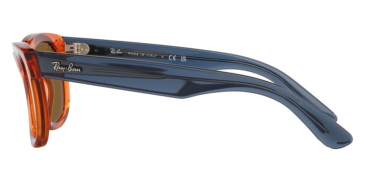 Ray-Ban® Wayfarer Reverse RBr0502S Sunglasses
