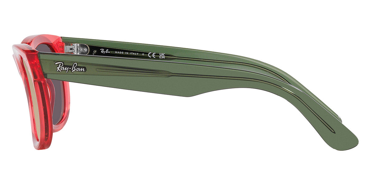 Ray-Ban® Wayfarer Reverse RBr0502S Sunglasses