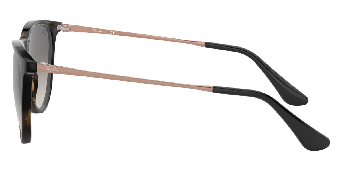 Ray-Ban® Junior Erika RJ9060S Sunglasses