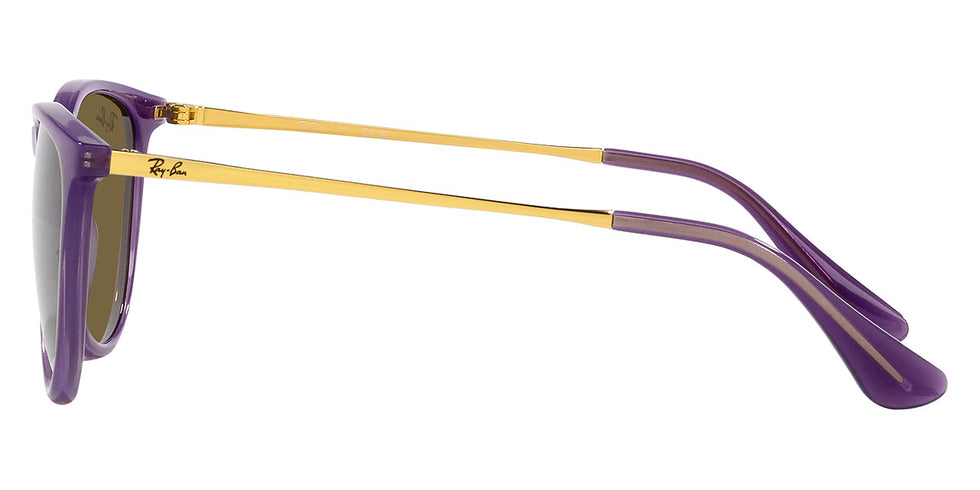 Ray-Ban® Junior Erika RJ9060S Sunglasses
